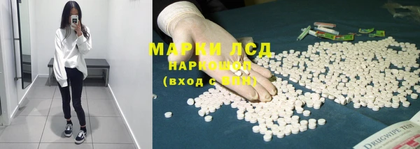 ПСИЛОЦИБИНОВЫЕ ГРИБЫ Алзамай