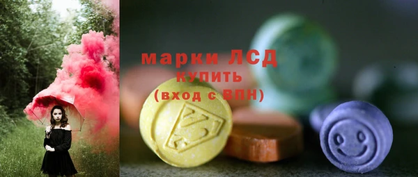 стаф Алексин
