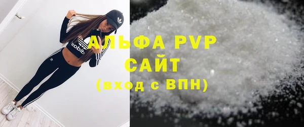 стаф Алексин