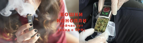 ПСИЛОЦИБИНОВЫЕ ГРИБЫ Алзамай
