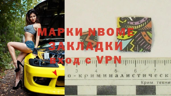 стаф Алексин