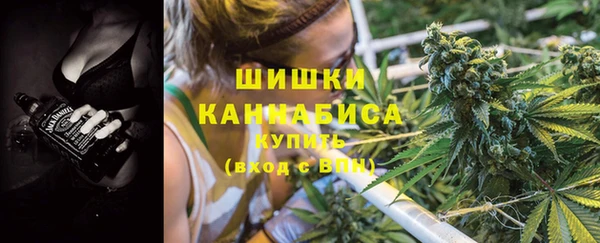 ПСИЛОЦИБИНОВЫЕ ГРИБЫ Алзамай