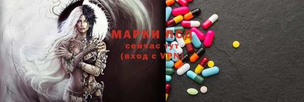стаф Алексин